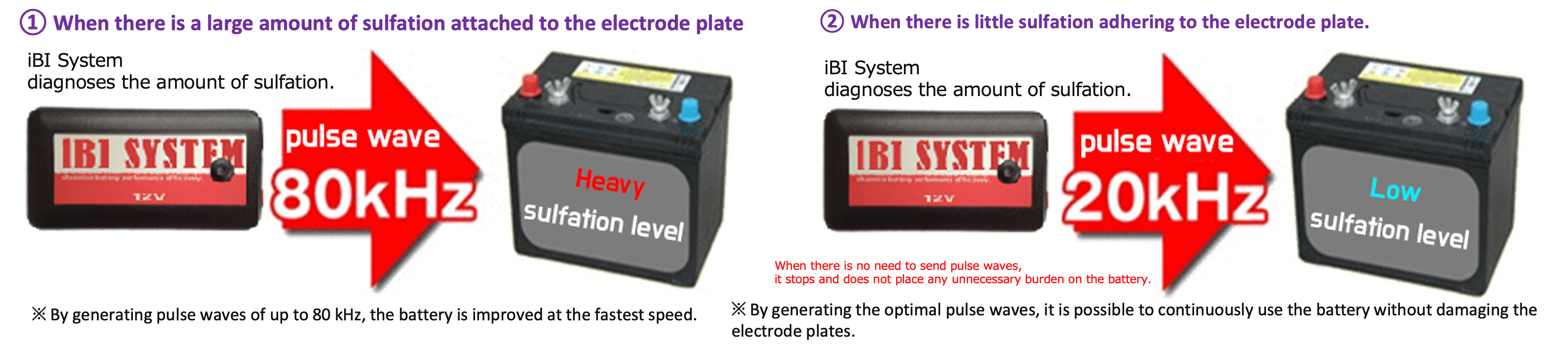 ibI System additional